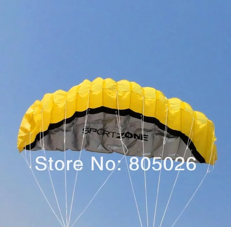 2.5m dual Line Stunt power Kite soft kite Parafoil