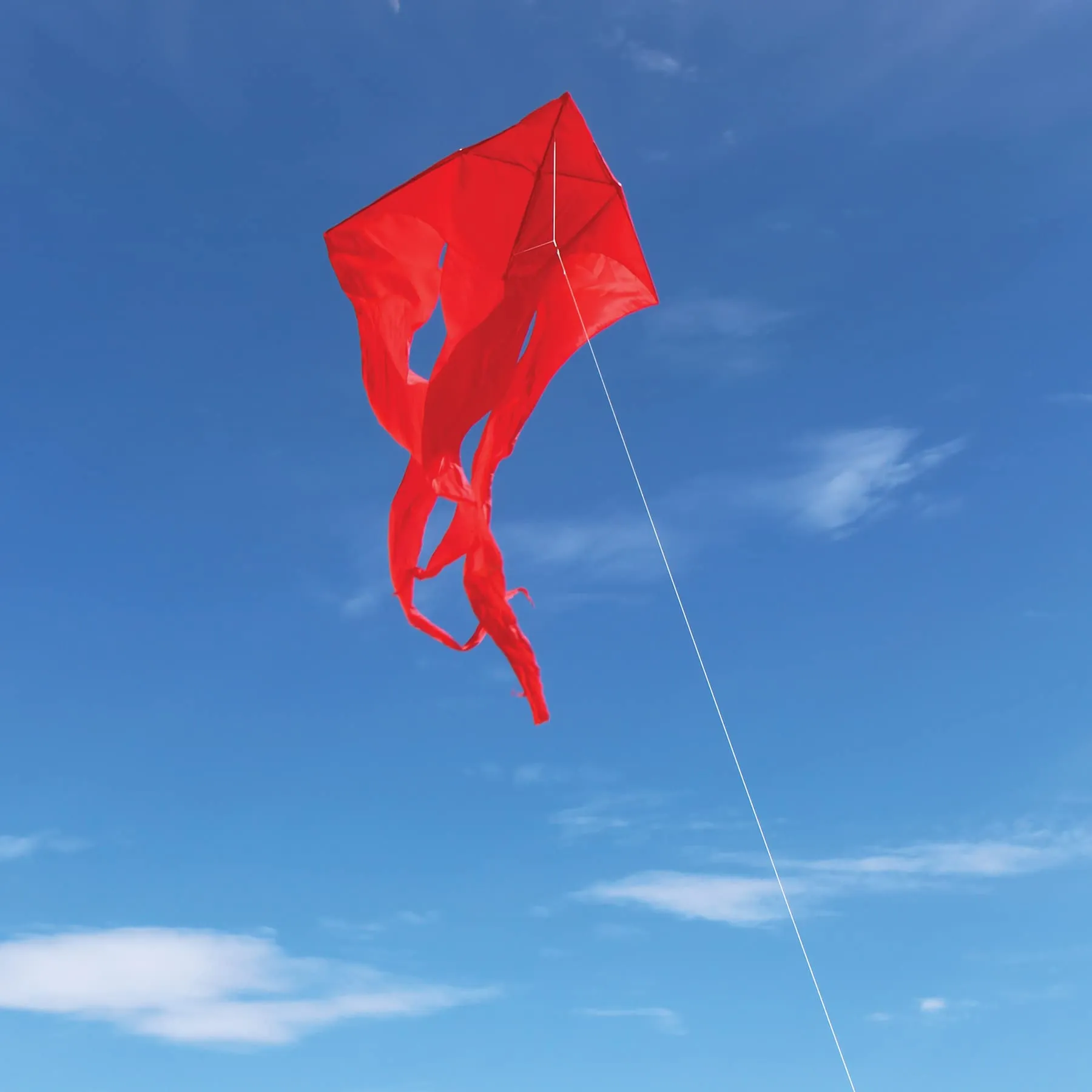 52" Wave Delta Kite - Red