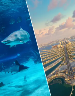 Dubai Aquarium   View At The Palm - Combo tickets