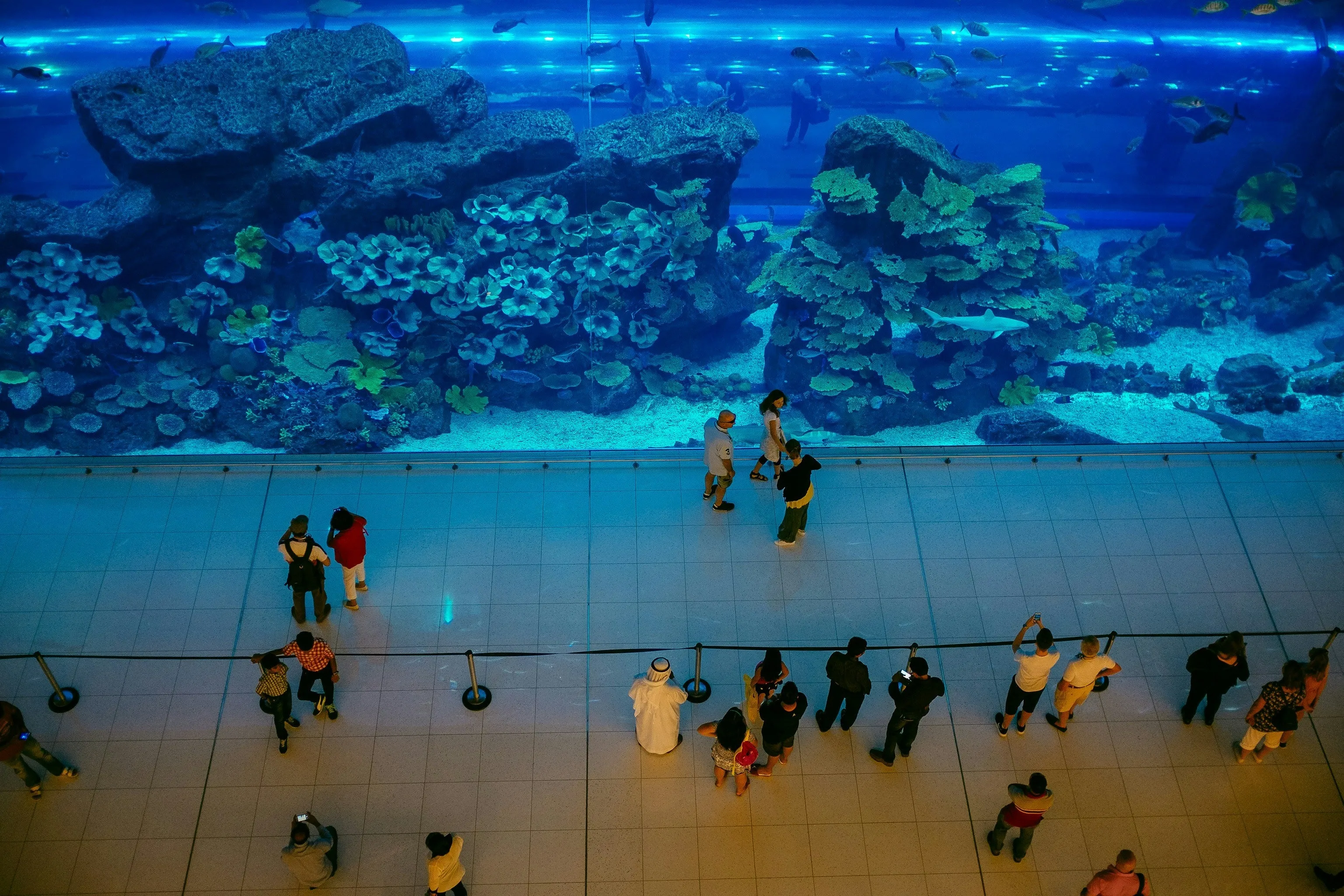 Dubai Aquarium   View At The Palm - Combo tickets