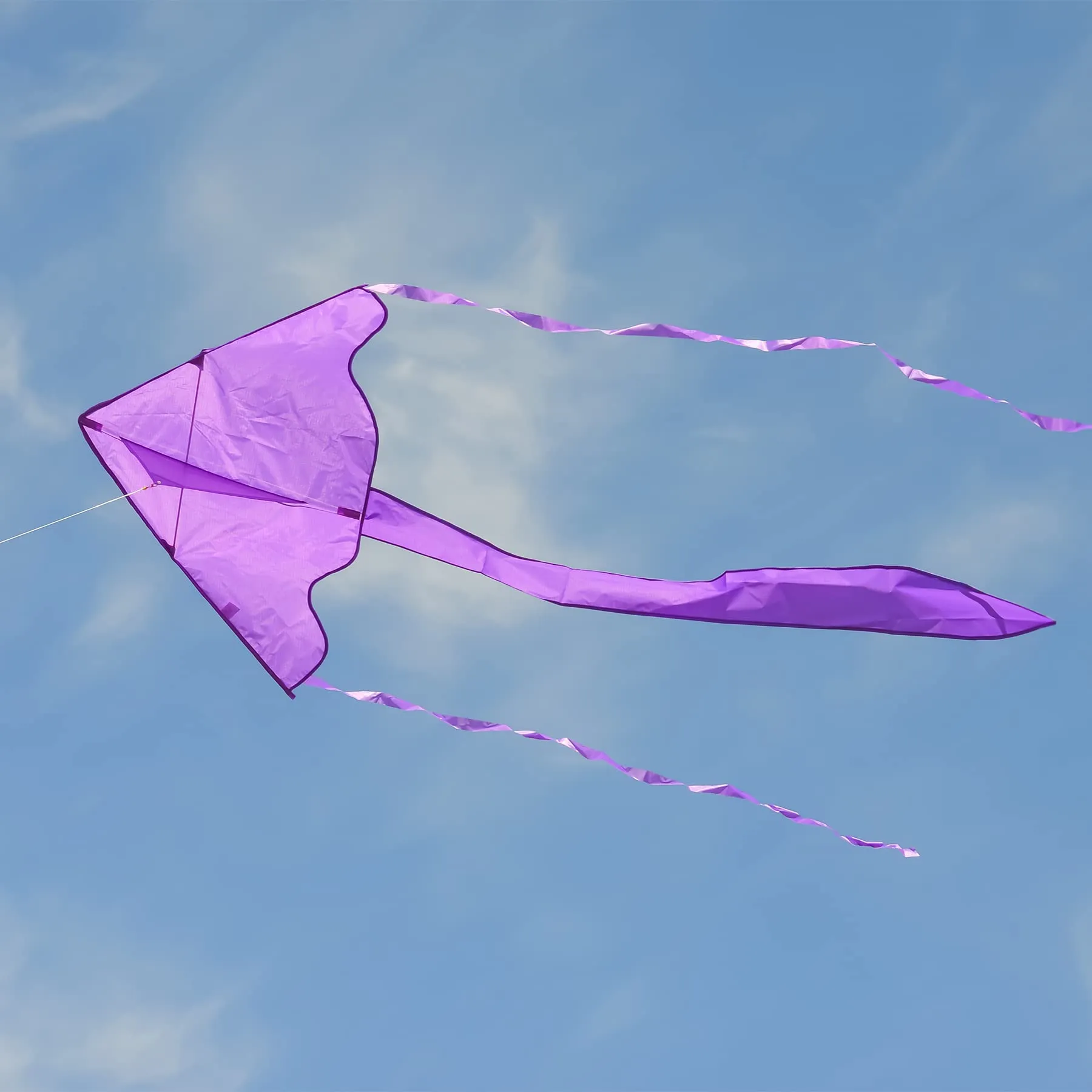 In the Breeze Solid Color Fly-Hi Kites