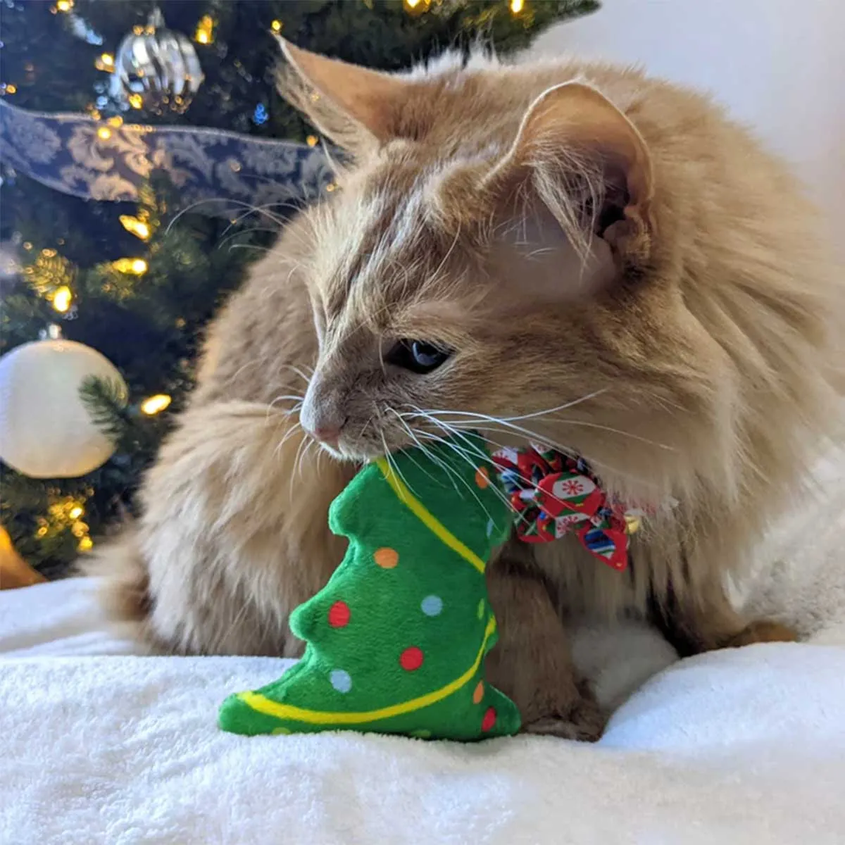 Kittybelles Up A Tree Plush Catnip Toy