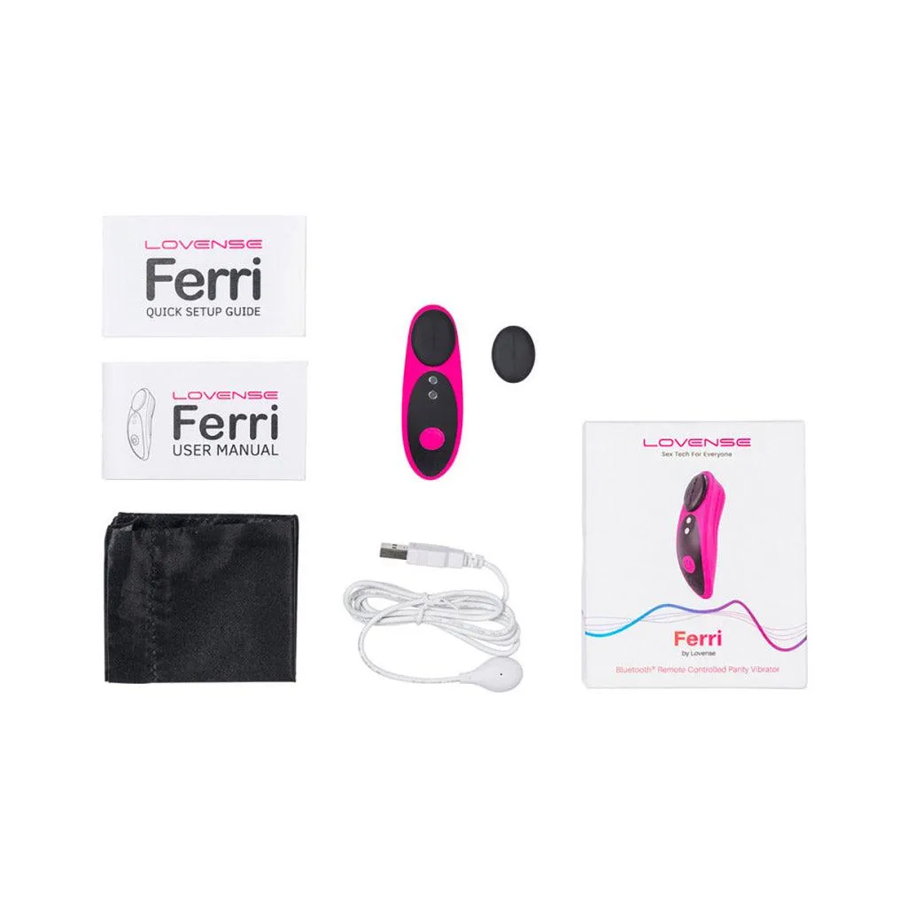 Lovense Ferri Magnetic Panty Vibrator