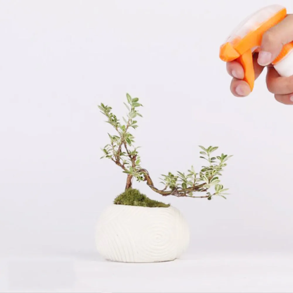 Magnetic Levitation Potted Plants