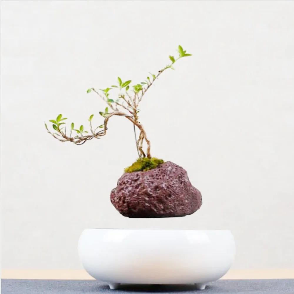 Magnetic Levitation Potted Plants