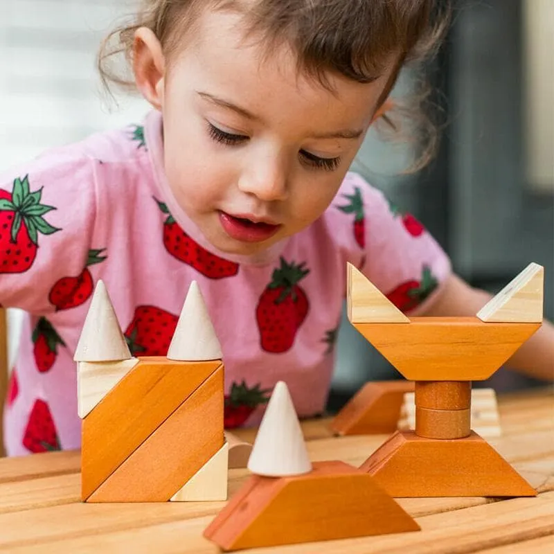 Magnetic Wooden Shapes