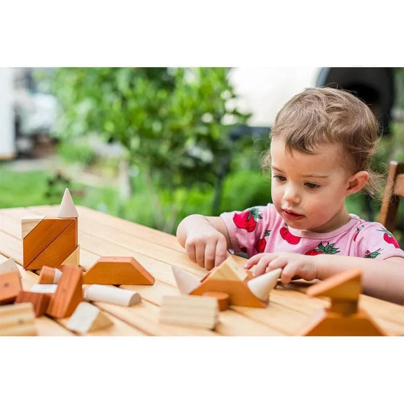 Magnetic Wooden Shapes