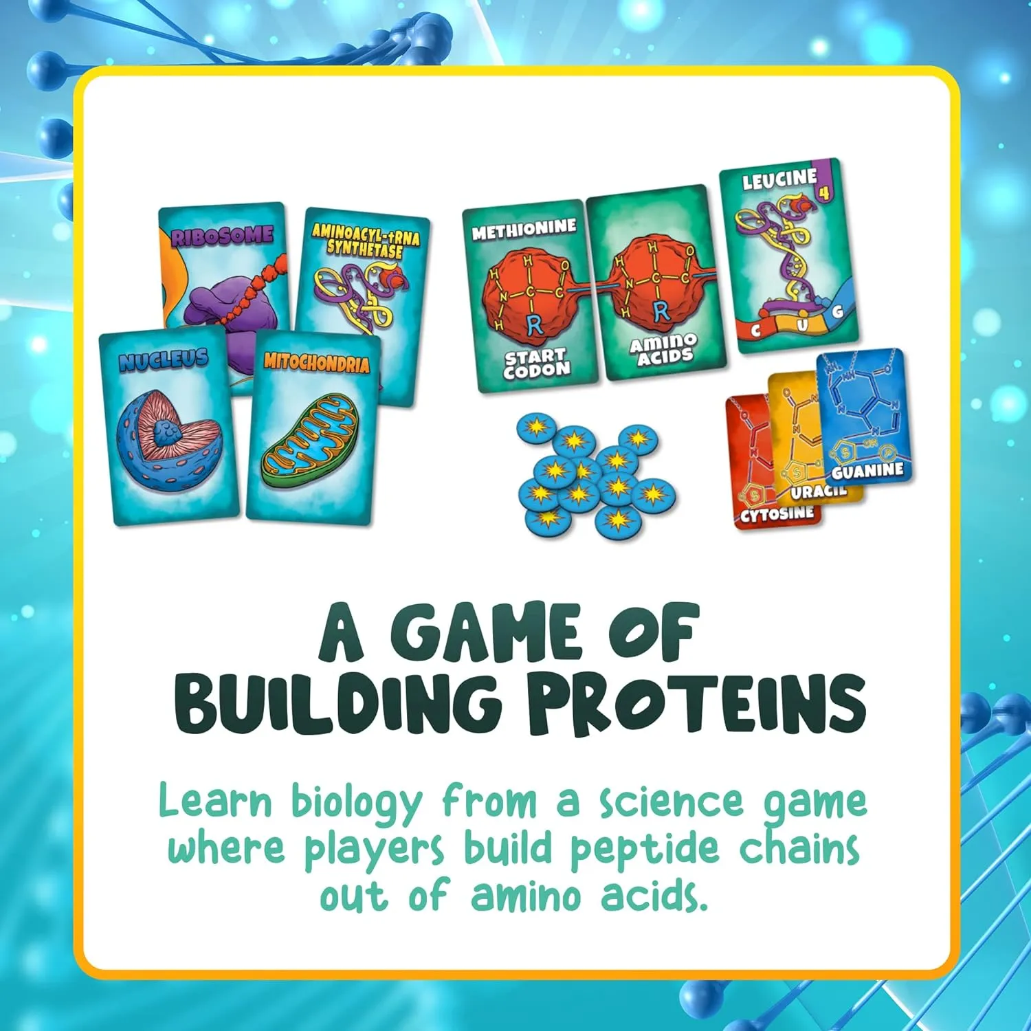 Peptide: A Protein Building Game | A Strategy Card Game with Accurate Science for Gamers and Teachers | Teaches Amino Acids, mRNA, Organelles