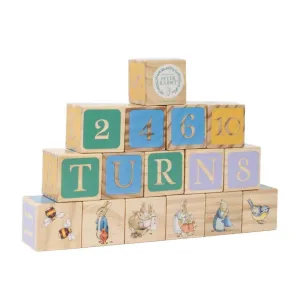 Peter Rabbit Wooden Picture Blocks