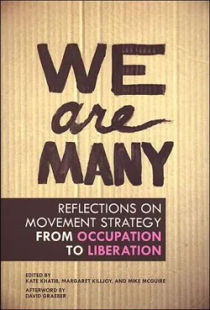 We Are Many: Reflections on Movement Strategy from Occupation to Liberation