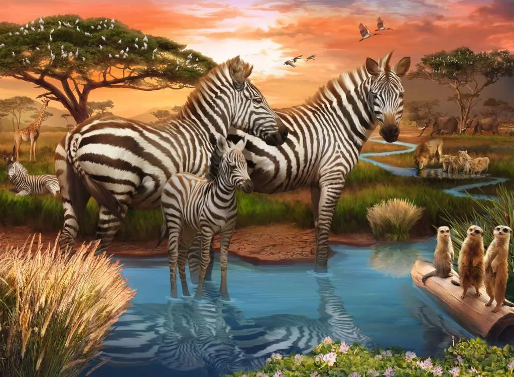 Zebras at the Waterhole 500 pc Puzzle